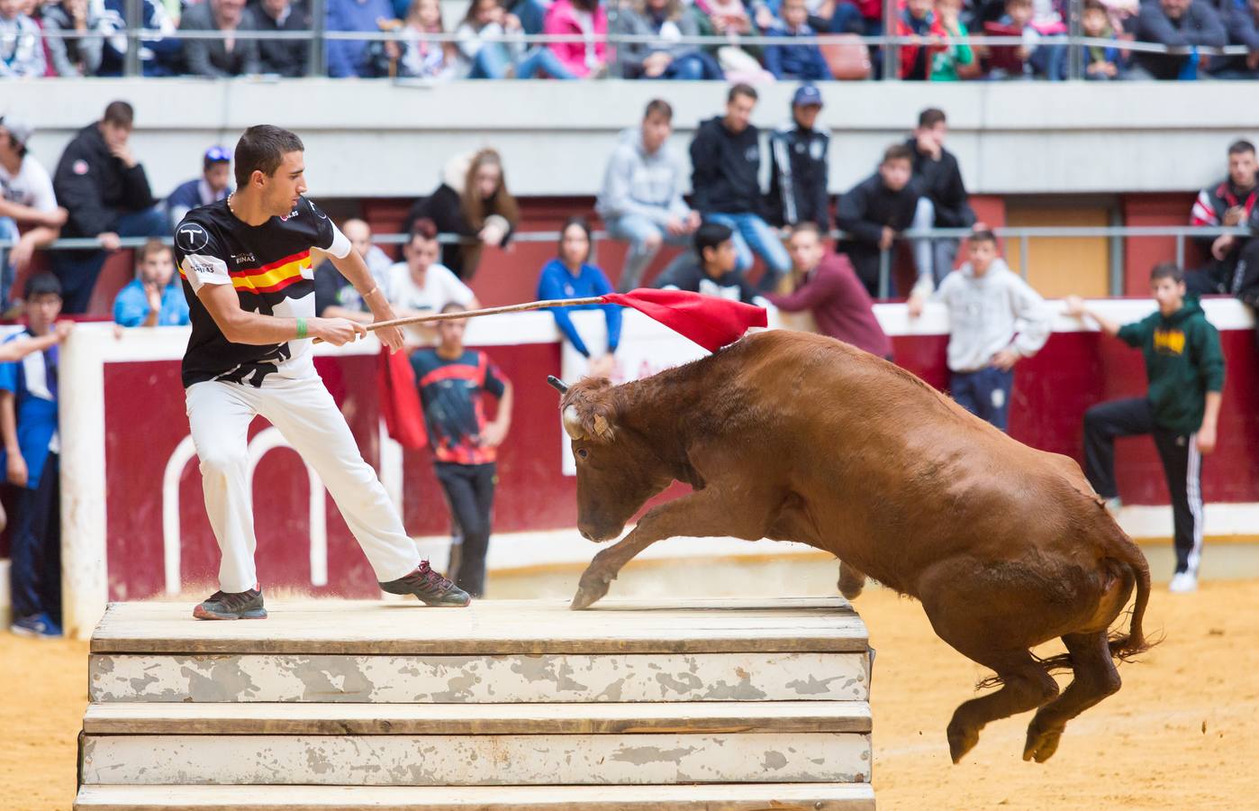 Los asistentes a las vaquillas disfrutaron de lo lindo con las vaquillas saltarinas de José Arriazu. También hubo exhibición de anillas por los campeones de España.