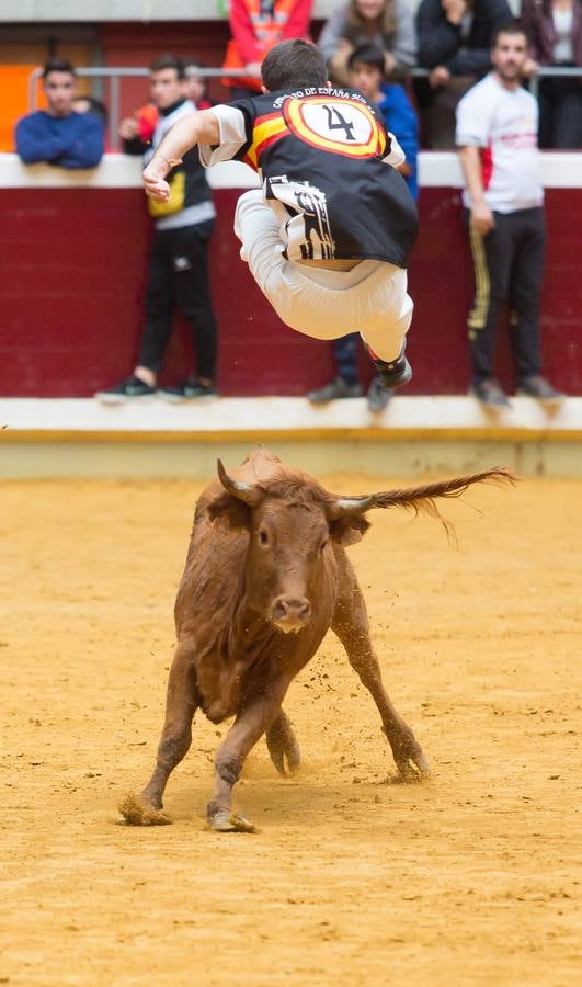 Los asistentes a las vaquillas disfrutaron de lo lindo con las vaquillas saltarinas de José Arriazu. También hubo exhibición de anillas por los campeones de España.