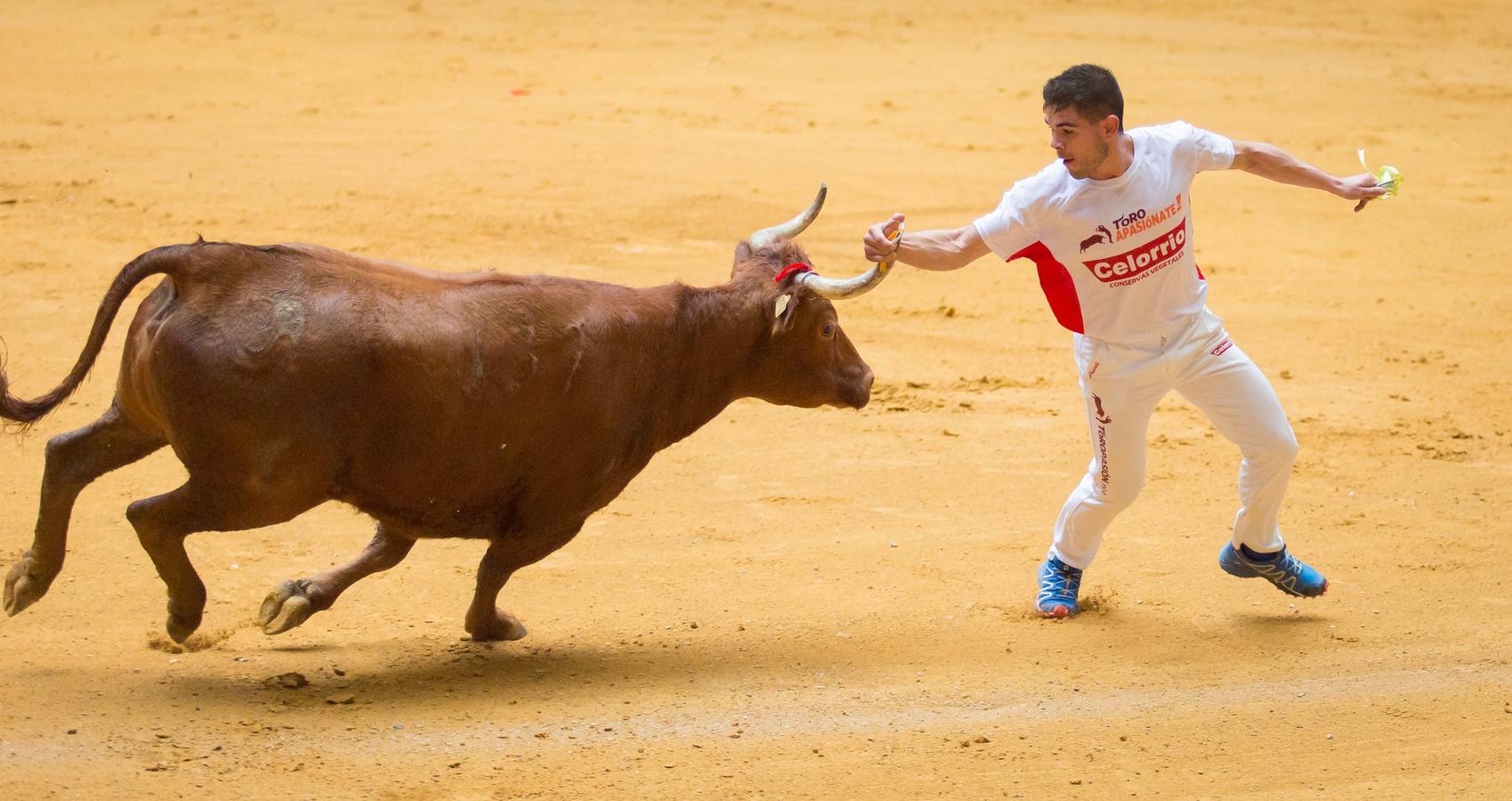 Los asistentes a las vaquillas disfrutaron de lo lindo con las vaquillas saltarinas de José Arriazu. También hubo exhibición de anillas por los campeones de España.