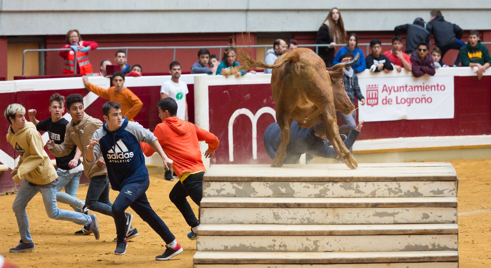 Los asistentes a las vaquillas disfrutaron de lo lindo con las vaquillas saltarinas de José Arriazu. También hubo exhibición de anillas por los campeones de España.