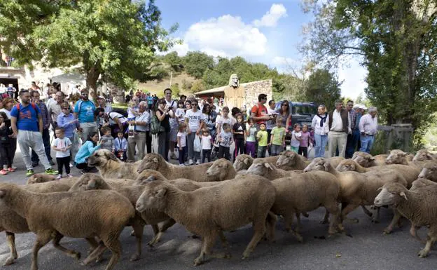 Música, magia, gastronomía, talleres o «ser pastor por un día» dentro de la XIII Fiesta de la Trashumancia