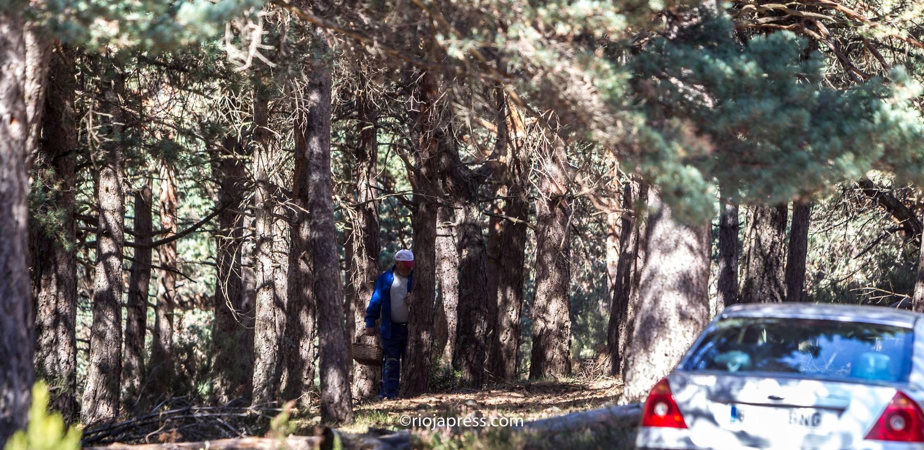 La avalancha de buscadores colapsa la cumbre Moncalvillo con más de 400 vehículos