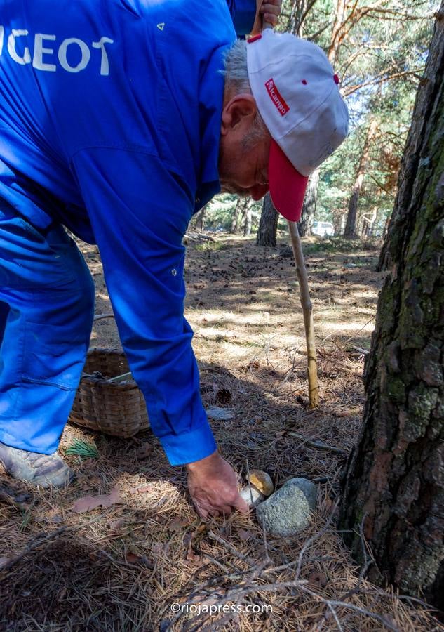 La avalancha de buscadores colapsa la cumbre Moncalvillo con más de 400 vehículos