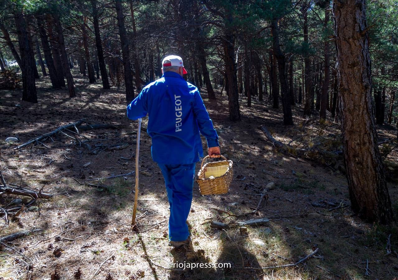 La avalancha de buscadores colapsa la cumbre Moncalvillo con más de 400 vehículos