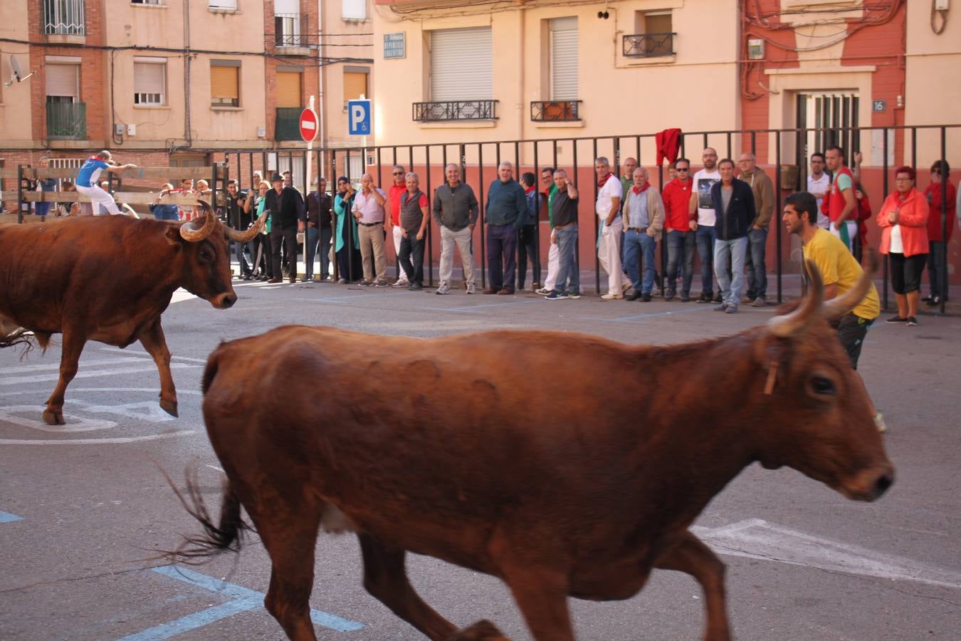 Tercer día de fiestas en Arnedo