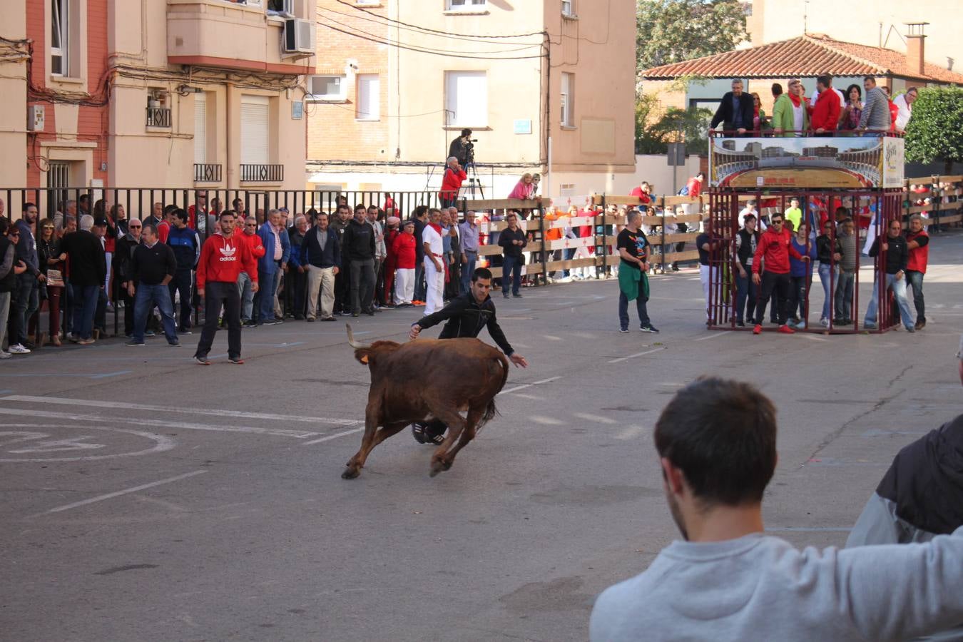 Tercer día de fiestas en Arnedo