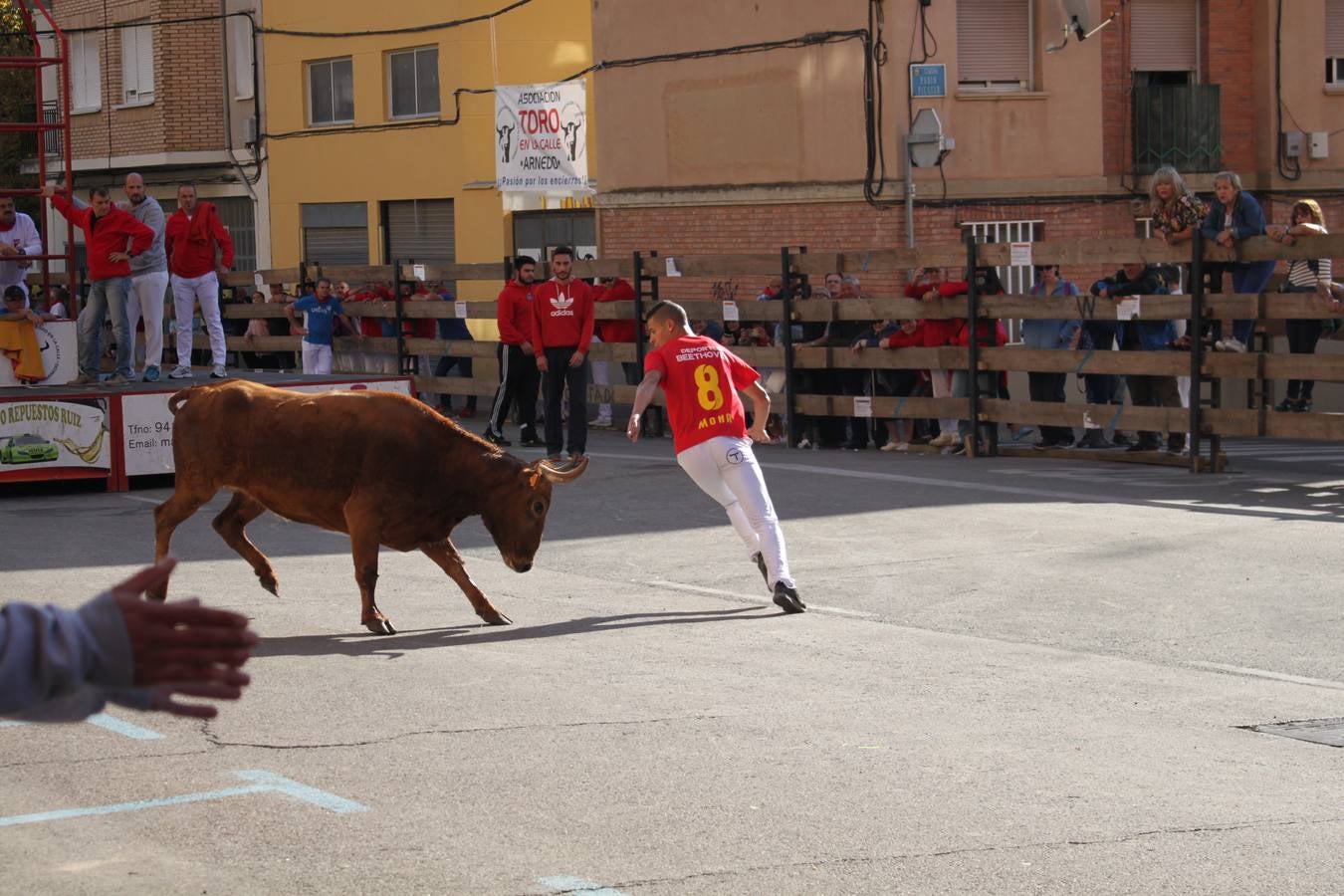 Tercer día de fiestas en Arnedo