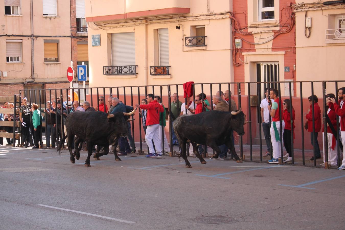 Tercer día de fiestas en Arnedo