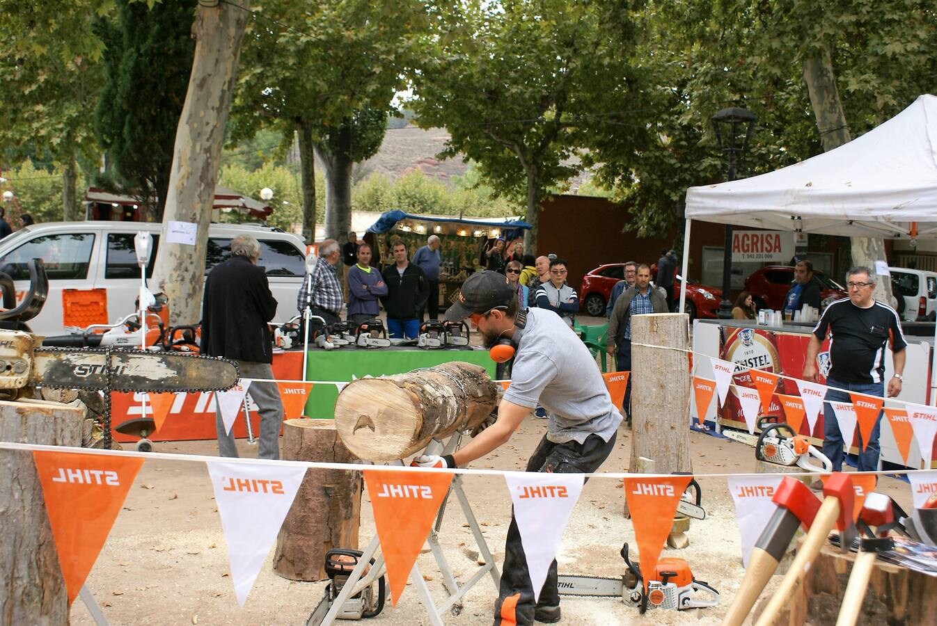 El municipio acoge las Ferias de San Miguel -maquinaria agrícola, industrial y automoción- y en su segunda jornada se oudo ver una muestra de animales y se disfrutaron las calderetas