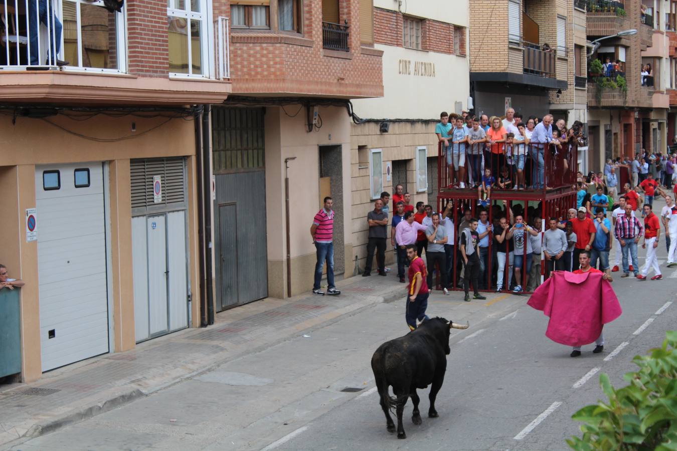 Las imágenes de la jornada festiva en Rincón de Soto