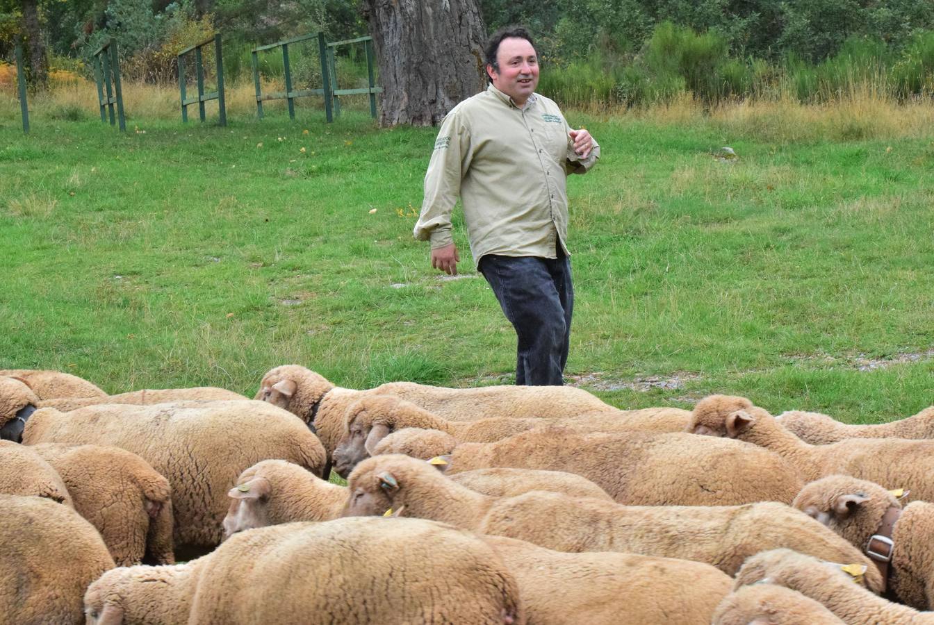 La Venta de Piqueras ha acogido esta tradicional cita