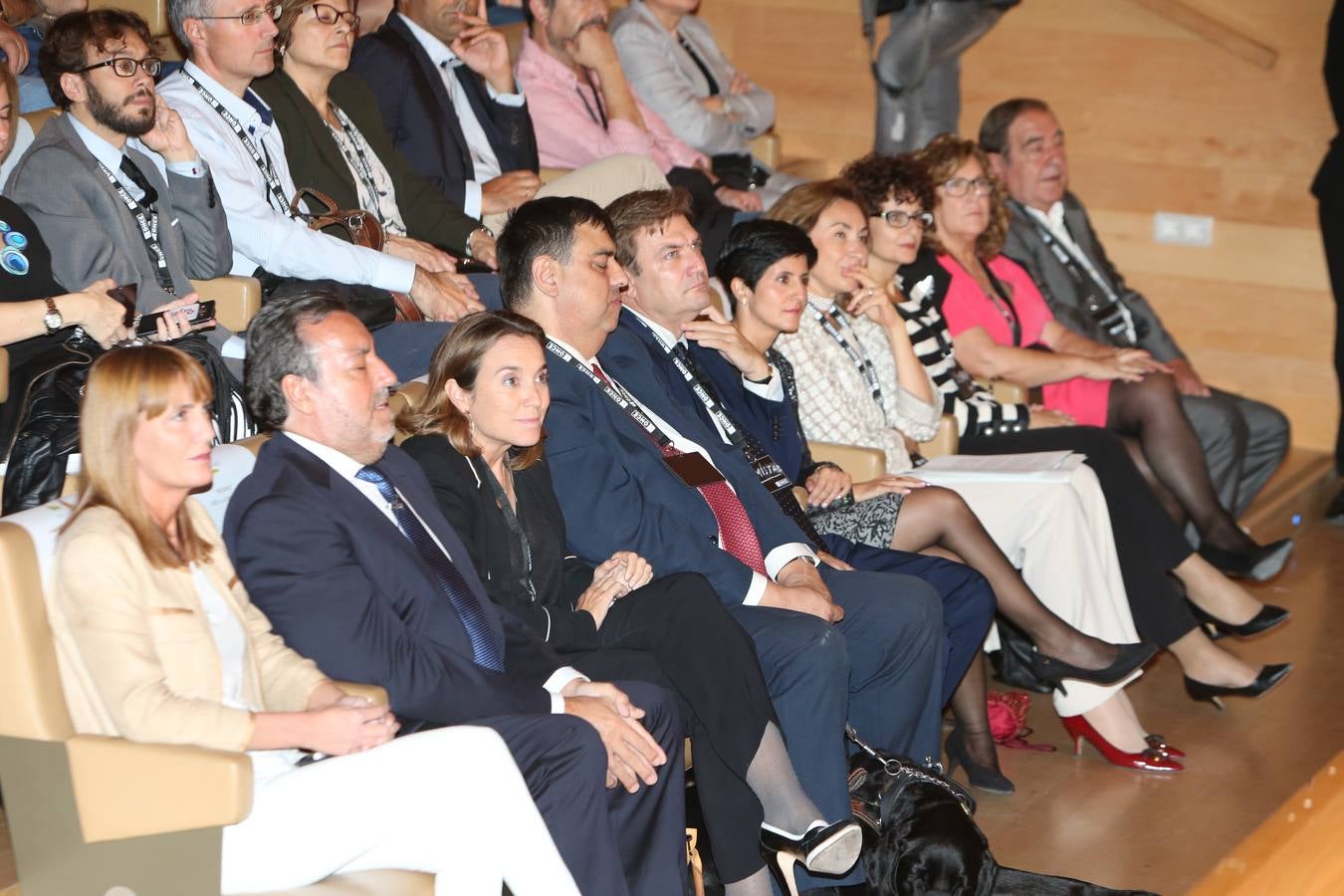 La ONCE ha reconocido la solidaridad de la sociedad riojana con la entrega de los Premios Solidarios ONCE La Rioja 2017 a Alcampo Logroño; el Centro Territorial de RTVE en La Rioja; Mª Aránzazu Sola Marcilla; la Universidad Internacional de La Rioja y la Jefatura Superior de la Policía Nacional en La Rioja.