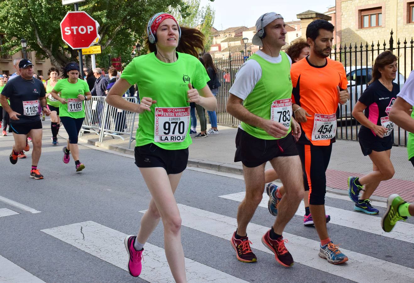 Gran jornada de atletismo en la ya tradicional Carrera Entreviñedos de Cenicero