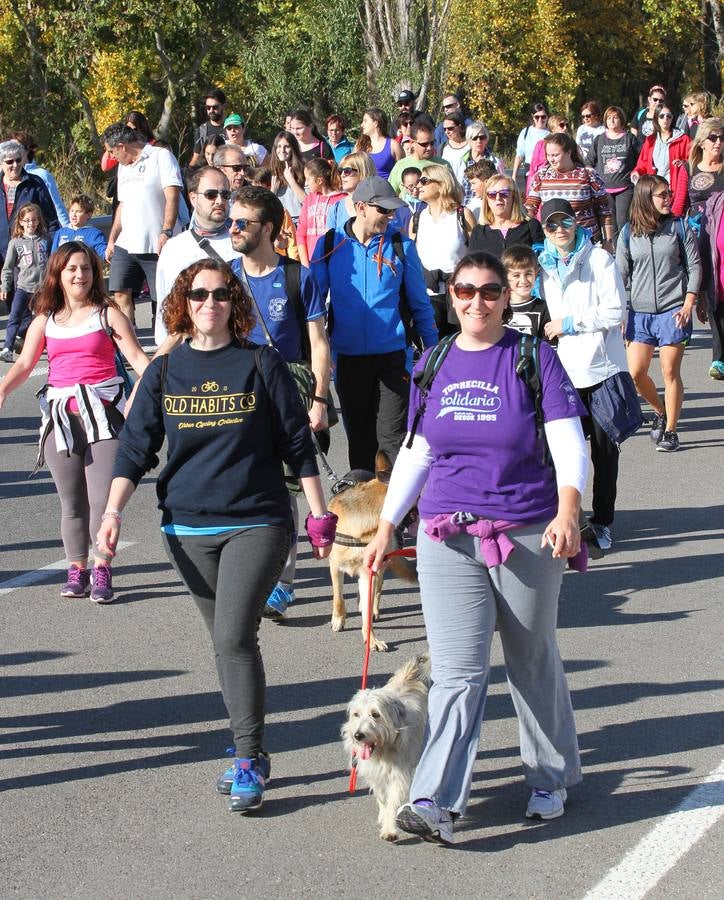 iel a su cita con la solidaridad, la tradicional marcha ASPACE ha echado a andar este domingo, 29 de octubre, desde el polideportivo municipal de Las Gaunas con la participación de alrededor de 3.000 personas que han querido apoyar esta iniciativa que pretende concienciar a la sociedad riojana sobre la realidad de las personas con parálisis cerebral.
