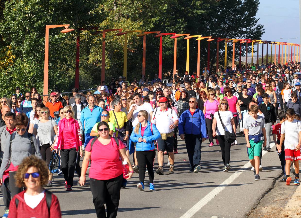 iel a su cita con la solidaridad, la tradicional marcha ASPACE ha echado a andar este domingo, 29 de octubre, desde el polideportivo municipal de Las Gaunas con la participación de alrededor de 3.000 personas que han querido apoyar esta iniciativa que pretende concienciar a la sociedad riojana sobre la realidad de las personas con parálisis cerebral.