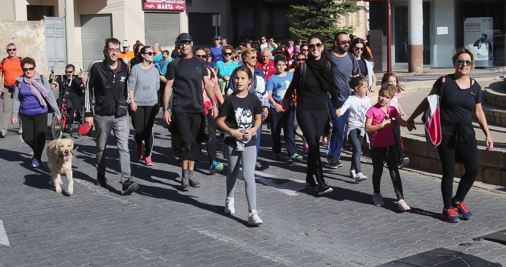 iel a su cita con la solidaridad, la tradicional marcha ASPACE ha echado a andar este domingo, 29 de octubre, desde el polideportivo municipal de Las Gaunas con la participación de alrededor de 3.000 personas que han querido apoyar esta iniciativa que pretende concienciar a la sociedad riojana sobre la realidad de las personas con parálisis cerebral.