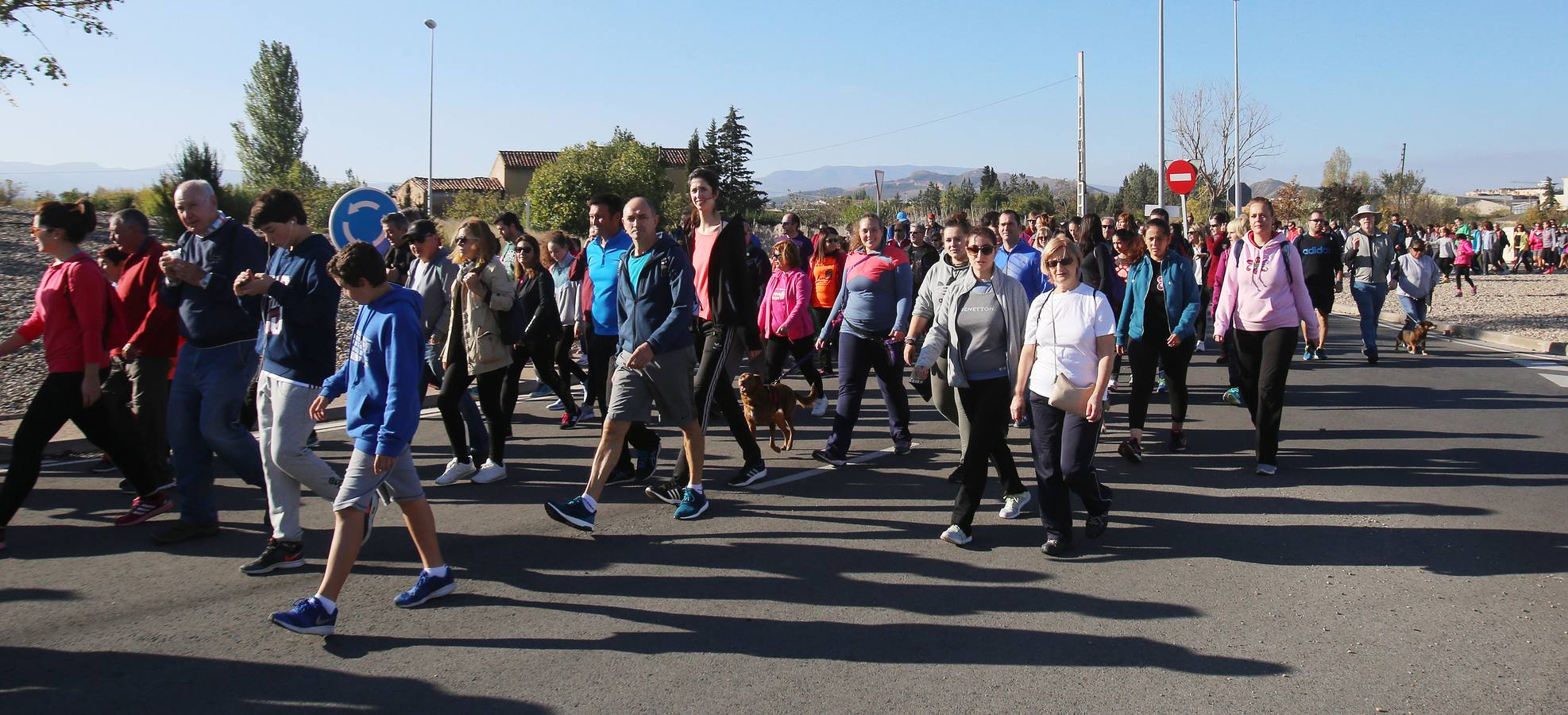 iel a su cita con la solidaridad, la tradicional marcha ASPACE ha echado a andar este domingo, 29 de octubre, desde el polideportivo municipal de Las Gaunas con la participación de alrededor de 3.000 personas que han querido apoyar esta iniciativa que pretende concienciar a la sociedad riojana sobre la realidad de las personas con parálisis cerebral.