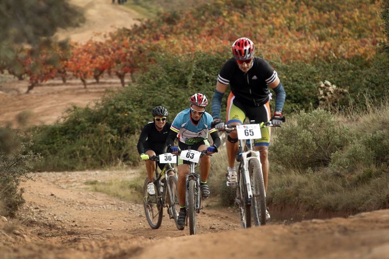 Un día magnífico ha acompañado a la celebración este domingo de la Duatlón de Moncalvillo, que ha dejado escenas preciosas