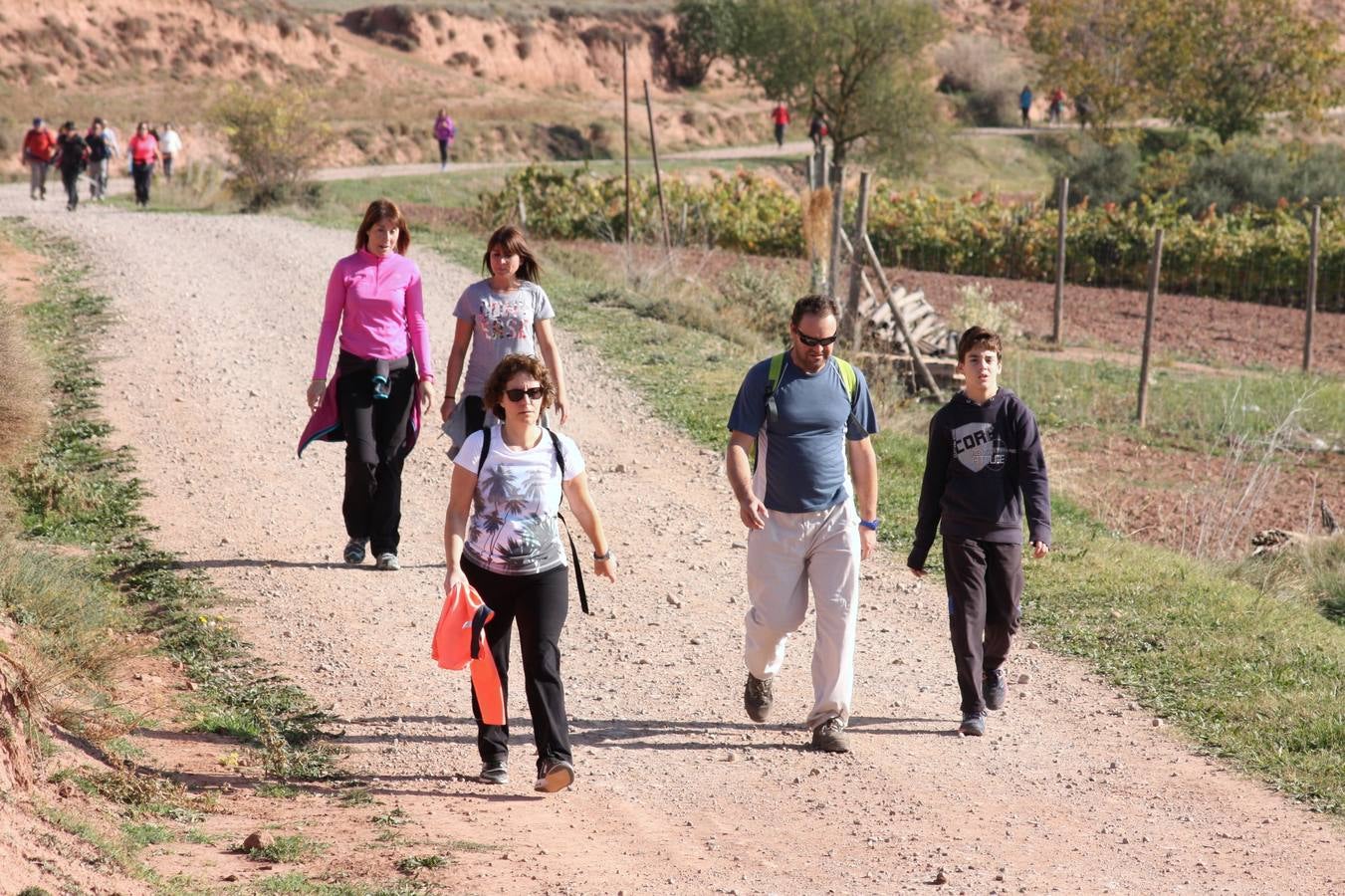 Unas 350 personas participan en la tercera Marcha del Camino del Rey