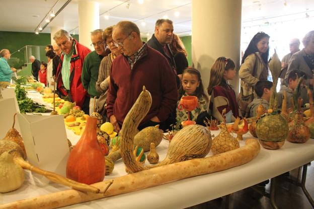 Cientos de arnedanos de todas las edades desfilaron por el teatro Cervantes ante las mesas con setas, plantas y calabazas de la exposición de la Semana de las Ciencias. :: E.P.