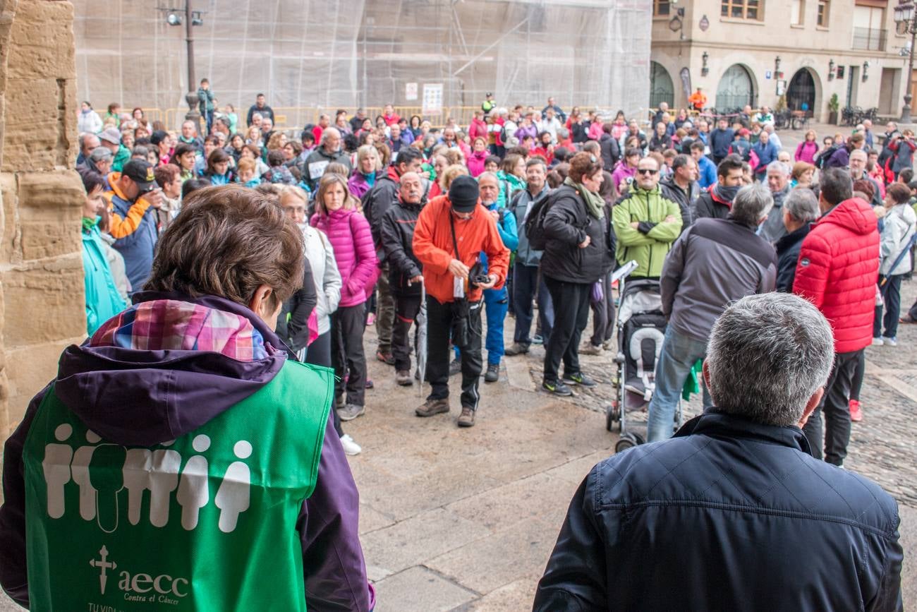 El acto ha sido a beneficio de la Asociación Española Contra el Cáncer en La Rioja