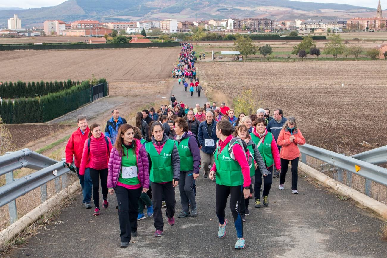 El acto ha sido a beneficio de la Asociación Española Contra el Cáncer en La Rioja