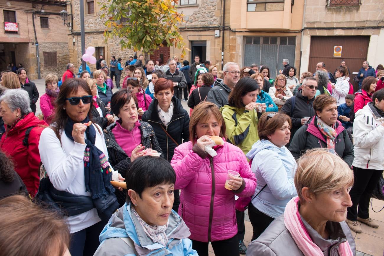 El acto ha sido a beneficio de la Asociación Española Contra el Cáncer en La Rioja