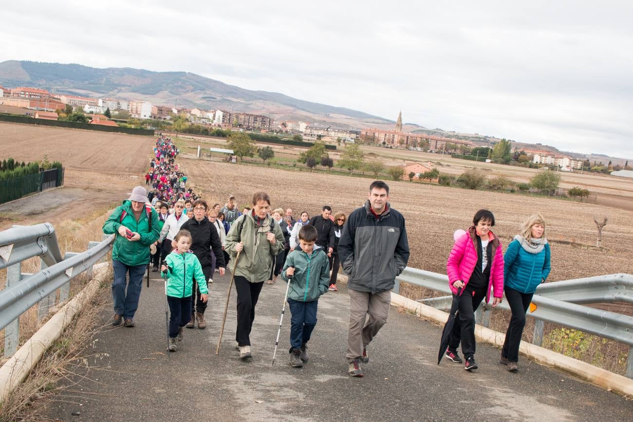 El acto ha sido a beneficio de la Asociación Española Contra el Cáncer en La Rioja