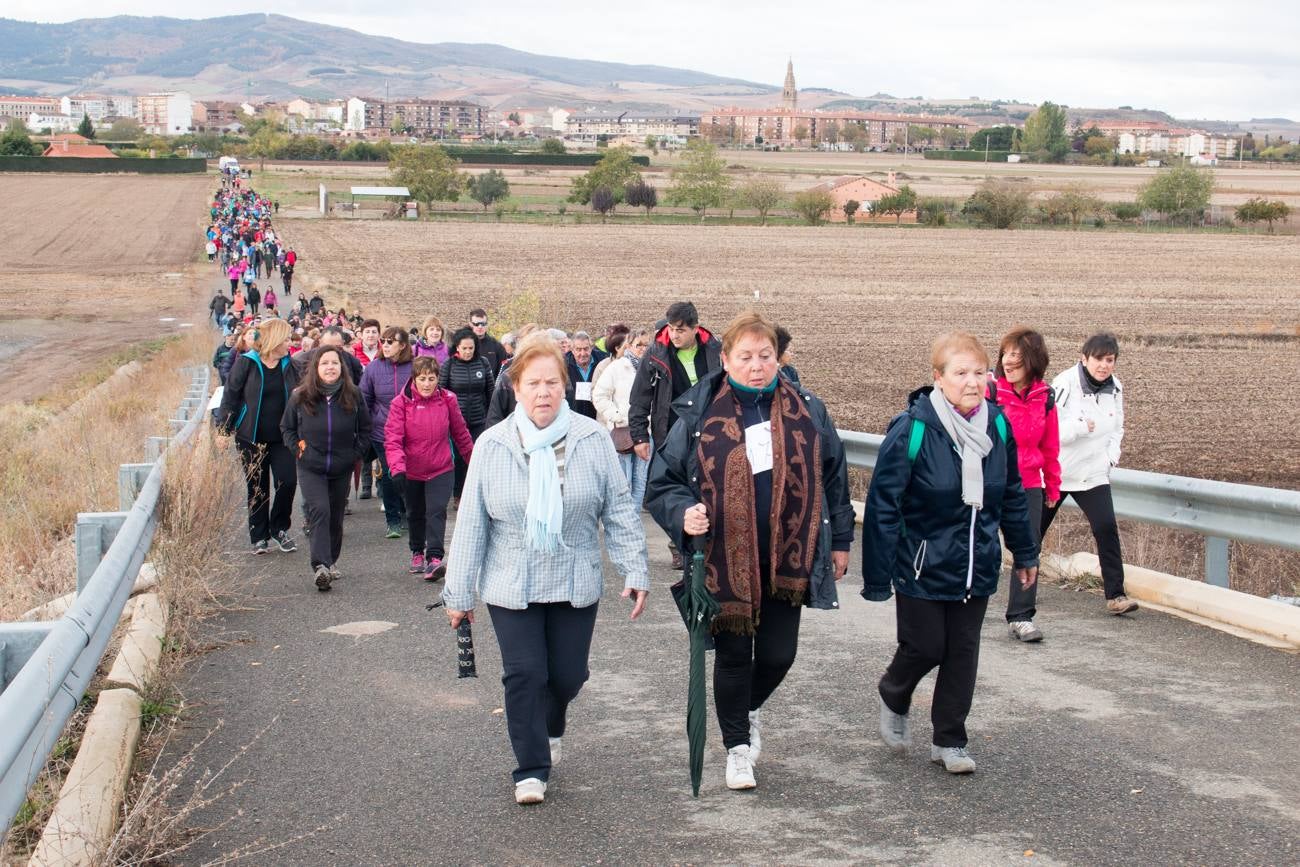 El acto ha sido a beneficio de la Asociación Española Contra el Cáncer en La Rioja