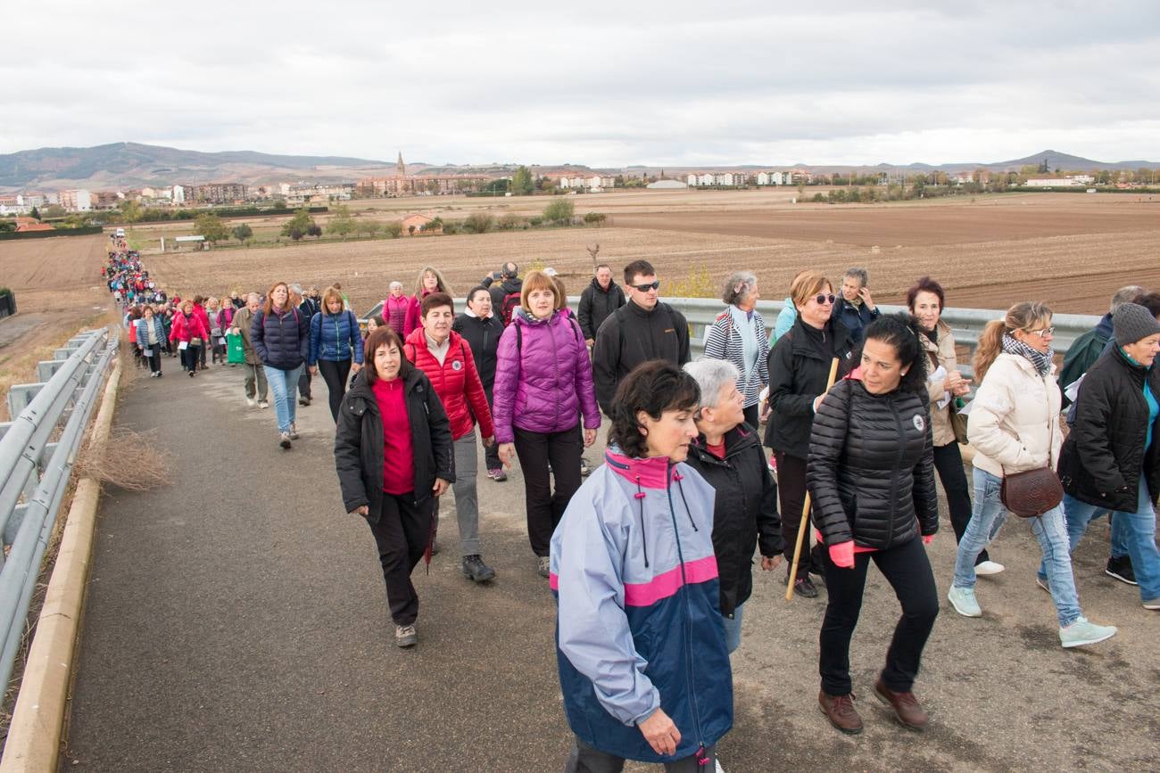 El acto ha sido a beneficio de la Asociación Española Contra el Cáncer en La Rioja