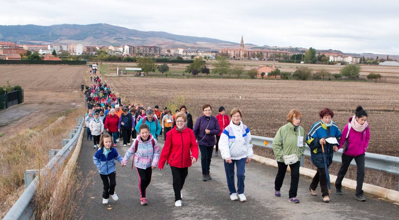 El acto ha sido a beneficio de la Asociación Española Contra el Cáncer en La Rioja