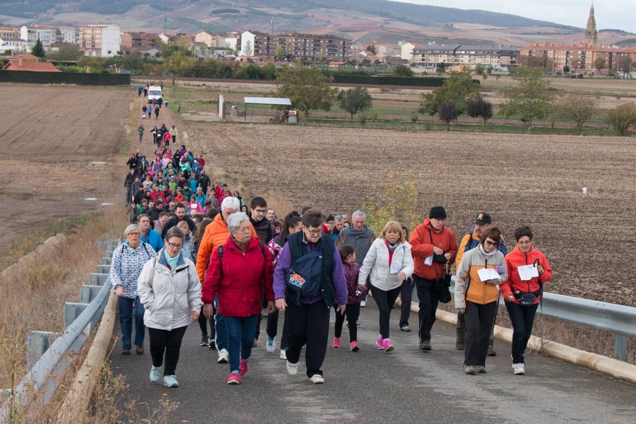 El acto ha sido a beneficio de la Asociación Española Contra el Cáncer en La Rioja