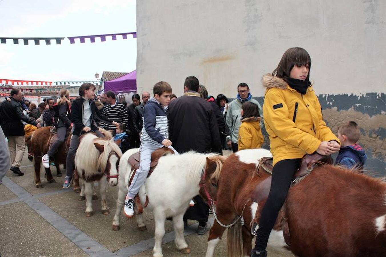 Mucho público en Alesón con motivo de la celebración del mercado medieval y el festival de la castaña asada.