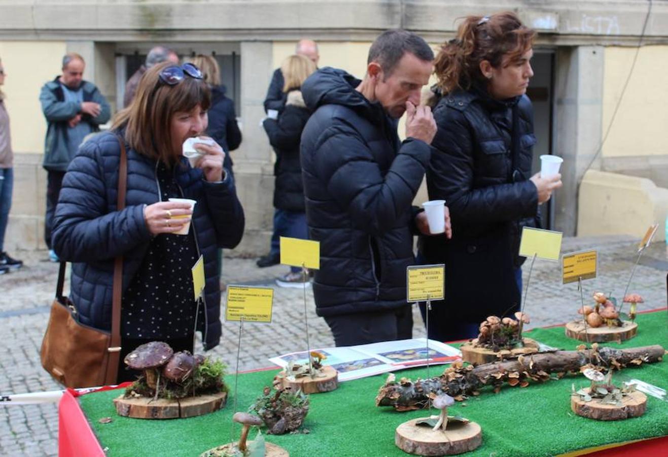 Haro disfurta de la bondad de sus campos y la generosidad de sus arboledas en las jornadas micológicas. La salida, la recolección y la posterior exhibición se unen a una interesante oferta gastronómica en la localidad jarrera donde setas y hongos son protagonistas absolutos