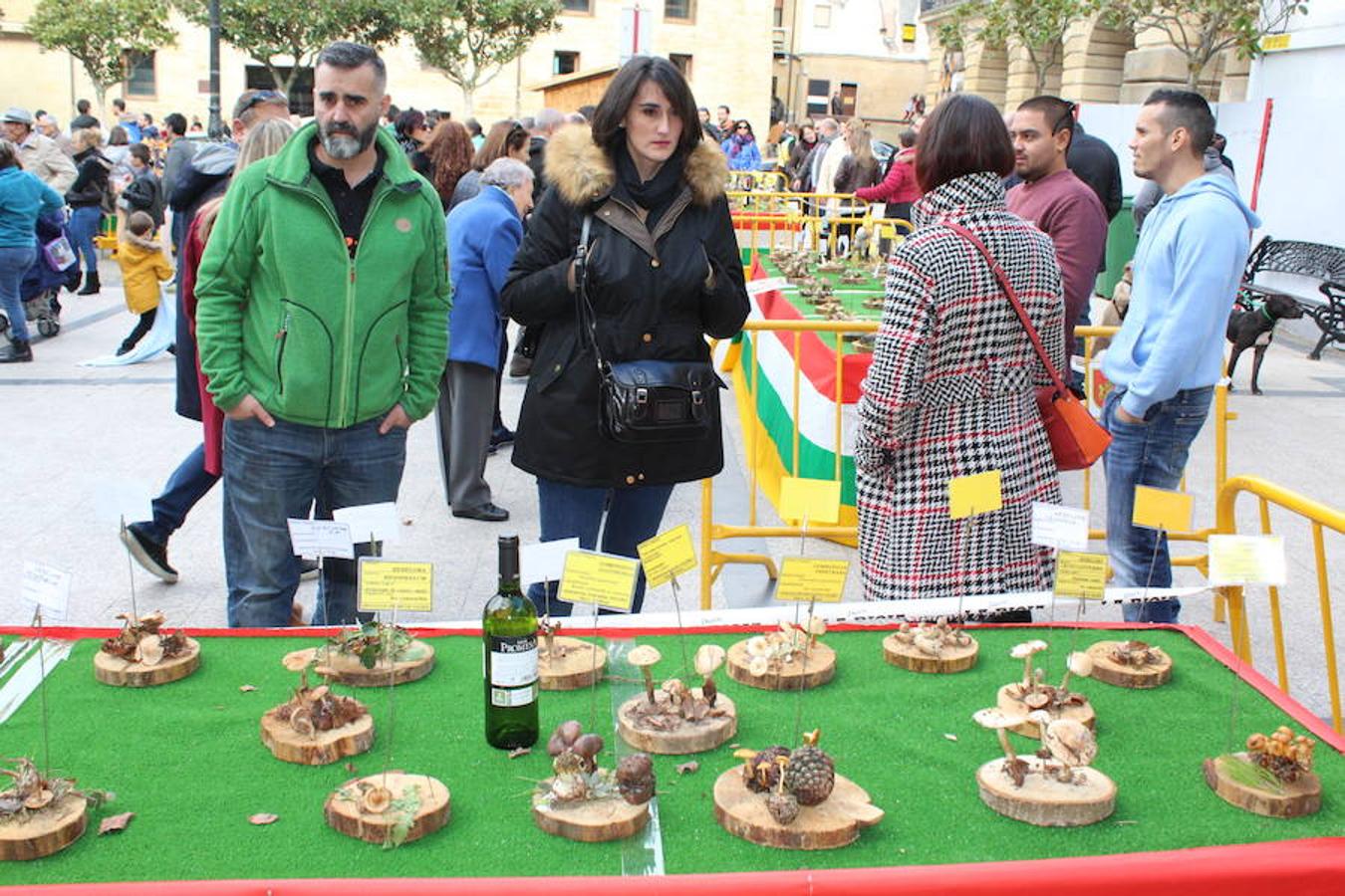 Haro disfurta de la bondad de sus campos y la generosidad de sus arboledas en las jornadas micológicas. La salida, la recolección y la posterior exhibición se unen a una interesante oferta gastronómica en la localidad jarrera donde setas y hongos son protagonistas absolutos