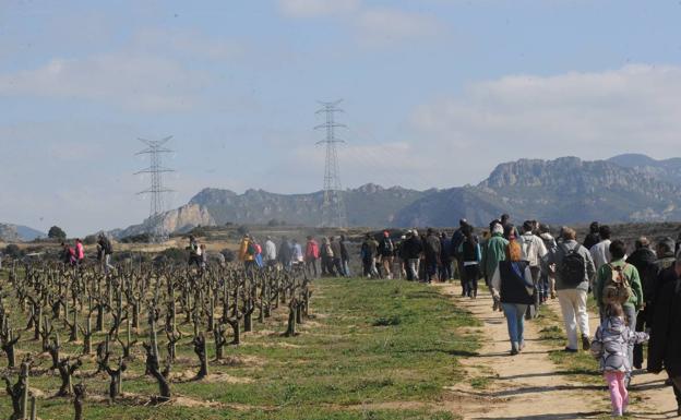 Una manifestación en defensa del paisaje en Haro.