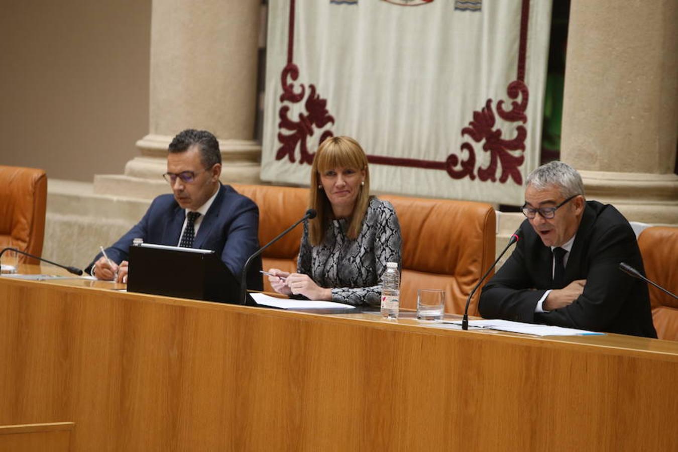 El Día Universal del Niño, organizado por Unicef, se ha celebrado en el Parlamento regional con la participación de un grupo de alumnos del colegio San Fernando de Nájera, quienes han leído los principios de la Convención de los Derechos del Niño