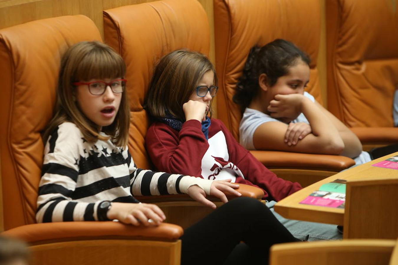 El Día Universal del Niño, organizado por Unicef, se ha celebrado en el Parlamento regional con la participación de un grupo de alumnos del colegio San Fernando de Nájera, quienes han leído los principios de la Convención de los Derechos del Niño