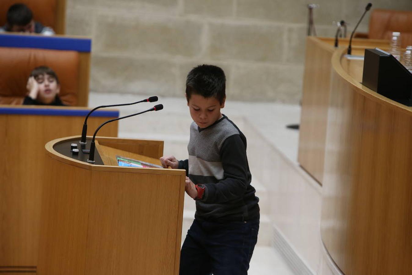 El Día Universal del Niño, organizado por Unicef, se ha celebrado en el Parlamento regional con la participación de un grupo de alumnos del colegio San Fernando de Nájera, quienes han leído los principios de la Convención de los Derechos del Niño