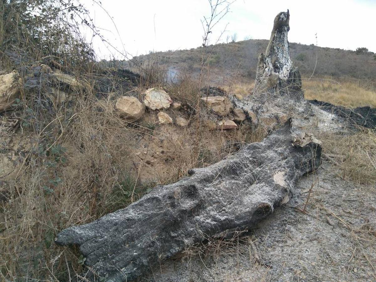 El incendio de Gutur ya ha sido extinguido. No ha sido una noche fácil para los servicios de lucha contra el fuego de La Rioja. El fuego ha afectado a una zona amplia de monte bajo. Se sospecha que el incendio ha sido provocado. La sequía se encarga del resto.