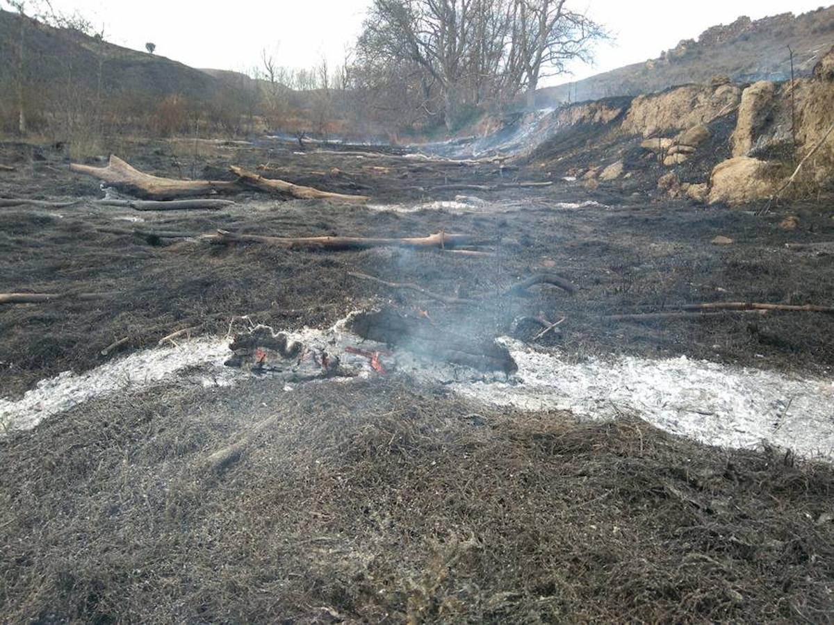 El incendio de Gutur ya ha sido extinguido. No ha sido una noche fácil para los servicios de lucha contra el fuego de La Rioja. El fuego ha afectado a una zona amplia de monte bajo. Se sospecha que el incendio ha sido provocado. La sequía se encarga del resto.