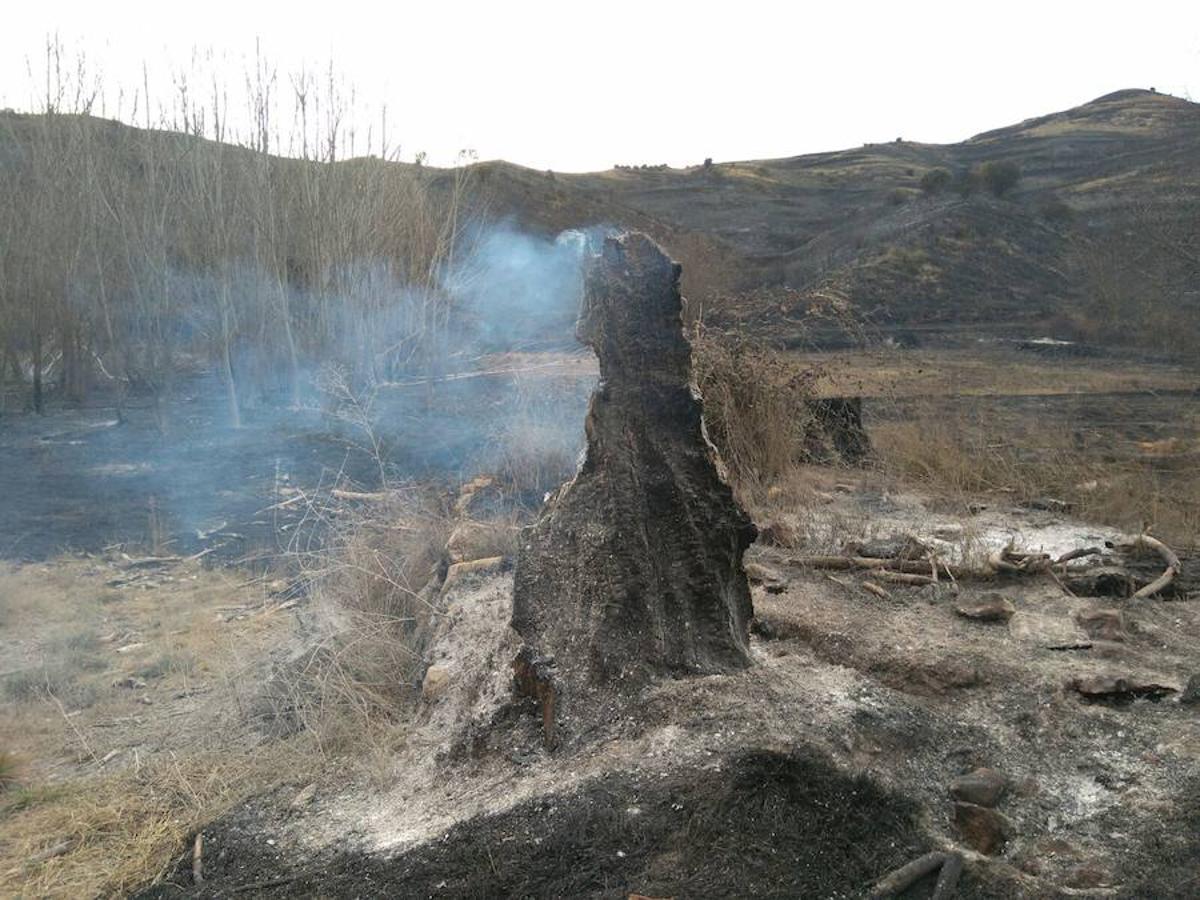 El incendio de Gutur ya ha sido extinguido. No ha sido una noche fácil para los servicios de lucha contra el fuego de La Rioja. El fuego ha afectado a una zona amplia de monte bajo. Se sospecha que el incendio ha sido provocado. La sequía se encarga del resto.