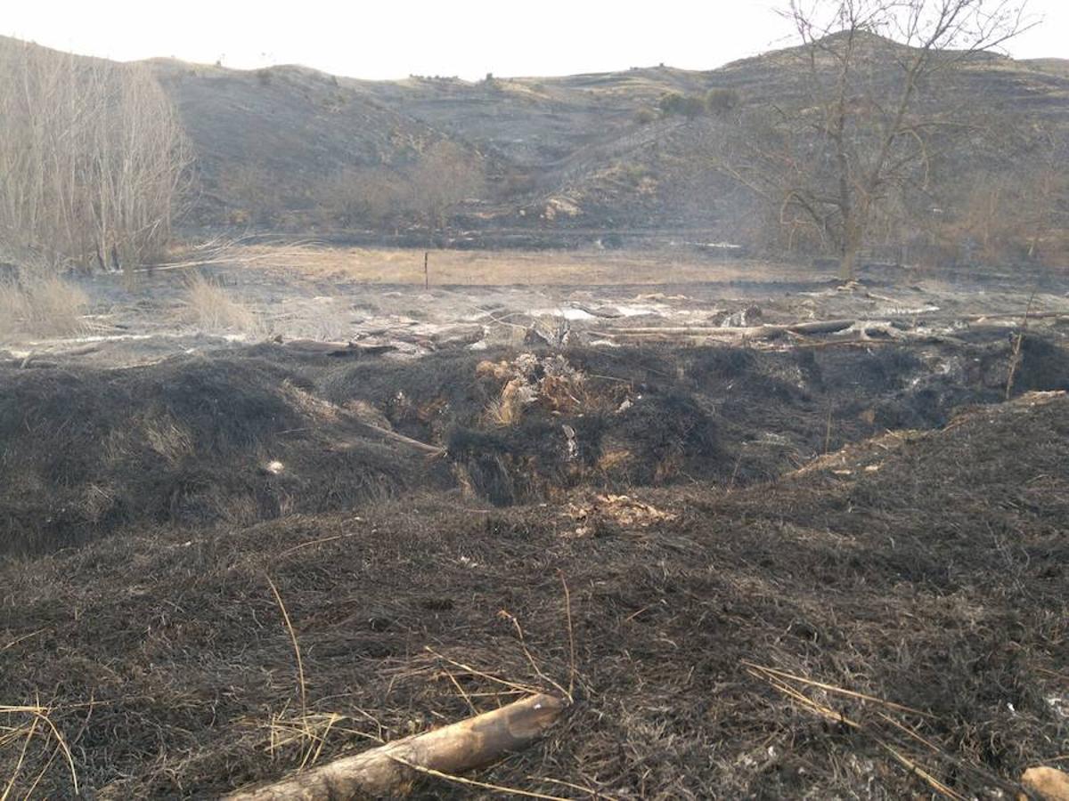 El incendio de Gutur ya ha sido extinguido. No ha sido una noche fácil para los servicios de lucha contra el fuego de La Rioja. El fuego ha afectado a una zona amplia de monte bajo. Se sospecha que el incendio ha sido provocado. La sequía se encarga del resto.