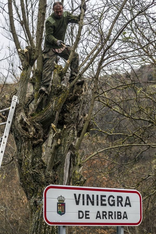 Llega el frío a La Rioja y viene acompañado de la nieve