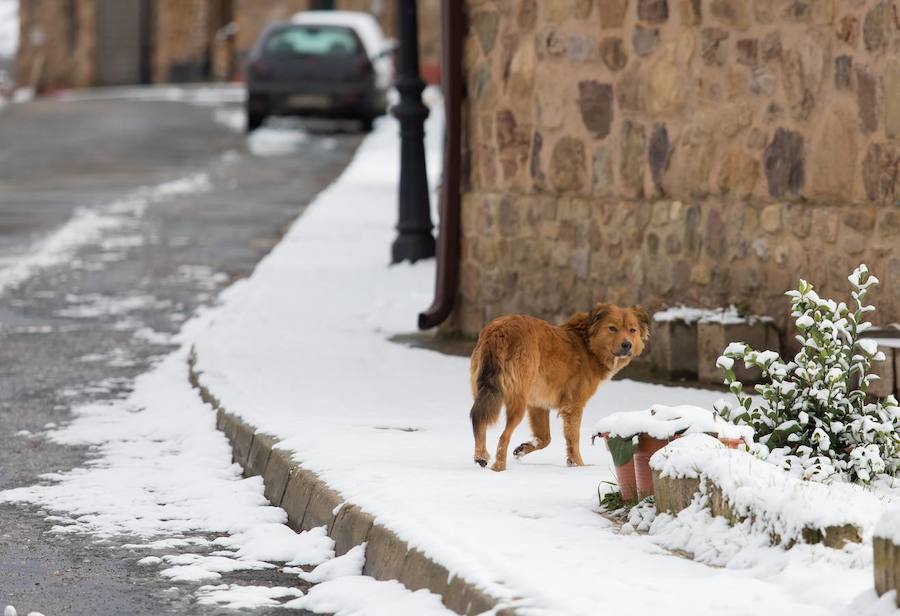 Los paisajes de los municipios se fueron pintando de blanco en la mañana de este viernes