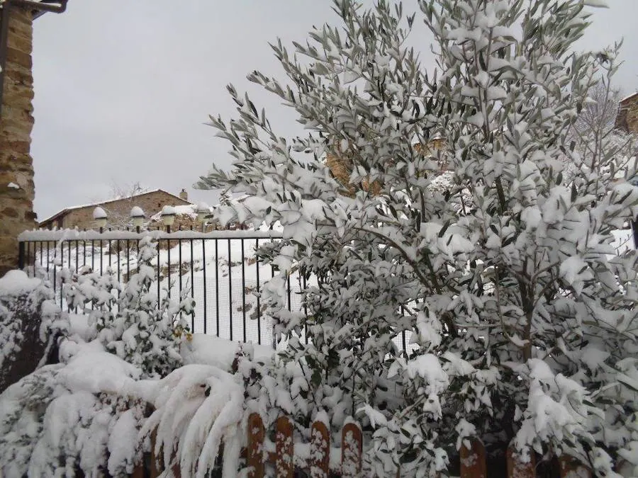 La nieve empieza a cobrar protagonismo en La Rioja y el entorno. Los lectores de larioja.com nos envían las fotos desde diferentes puntos de la región. Si quieres animarte puedes enviarnos las tuyas a través del WhatsApp 620634342