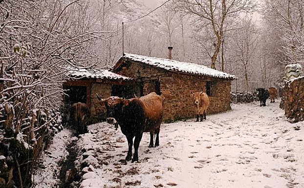 Imagen principal - La Rioja se vuelve blanca
