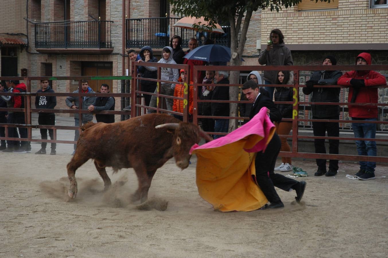 Este sábado ha tenido lugar el Festejo taurino en Rincón de Olivedo. Han participado alumnos de la escuela taurina de Zaragoza. El acto está incluido en las fiestas de la juventud de Rincón de Olivedo.