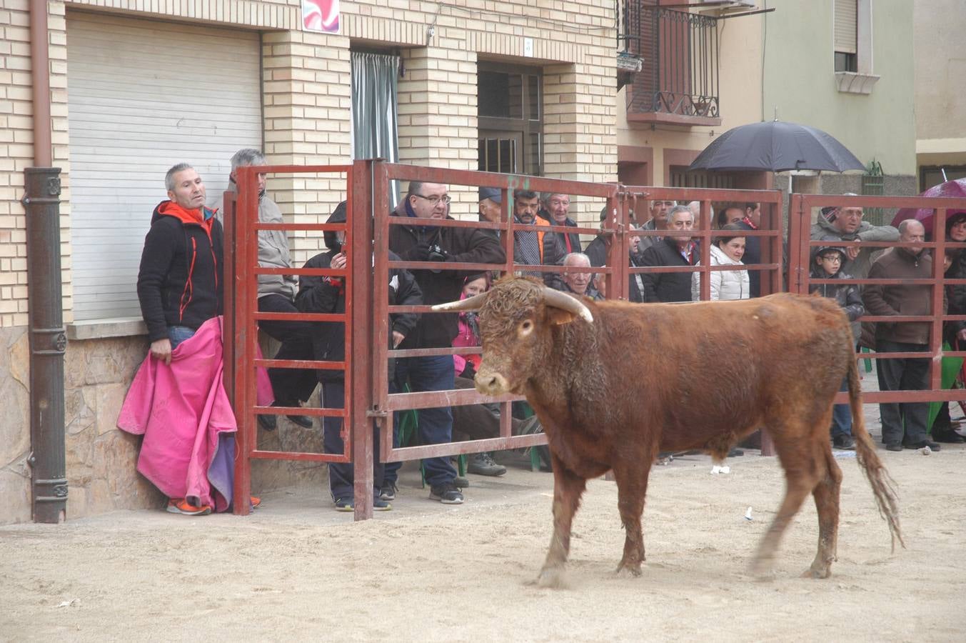 Este sábado ha tenido lugar el Festejo taurino en Rincón de Olivedo. Han participado alumnos de la escuela taurina de Zaragoza. El acto está incluido en las fiestas de la juventud de Rincón de Olivedo.