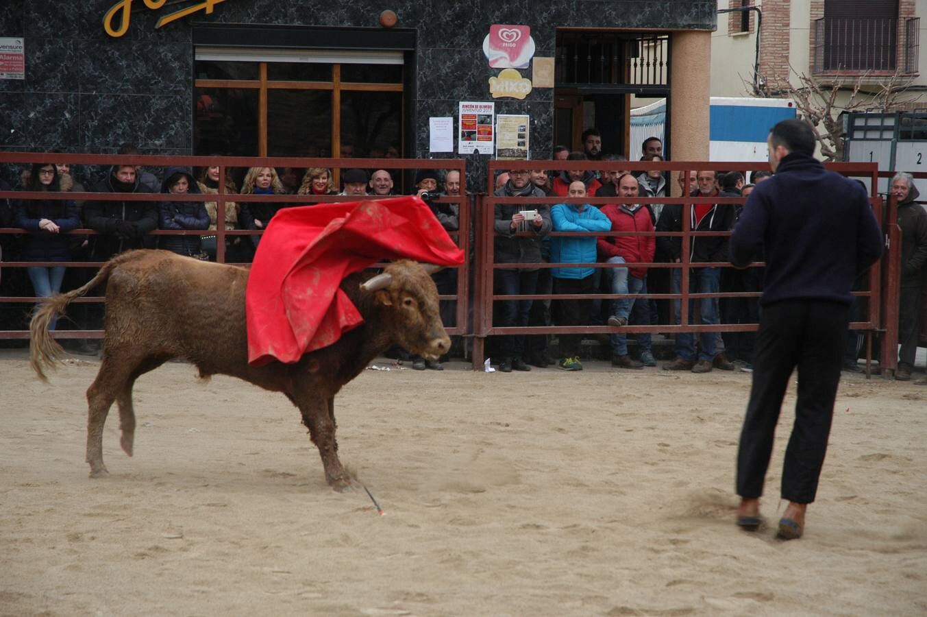 Este sábado ha tenido lugar el Festejo taurino en Rincón de Olivedo. Han participado alumnos de la escuela taurina de Zaragoza. El acto está incluido en las fiestas de la juventud de Rincón de Olivedo.